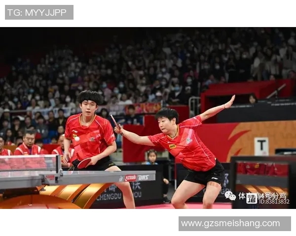 西安乒乓球队配合技巧分析与团队协作探讨