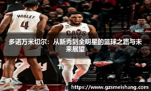 多诺万米切尔：从新秀到全明星的篮球之路与未来展望